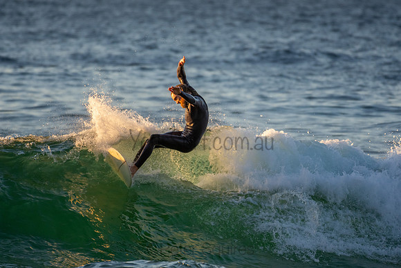 Whale Beach 2/7/20
