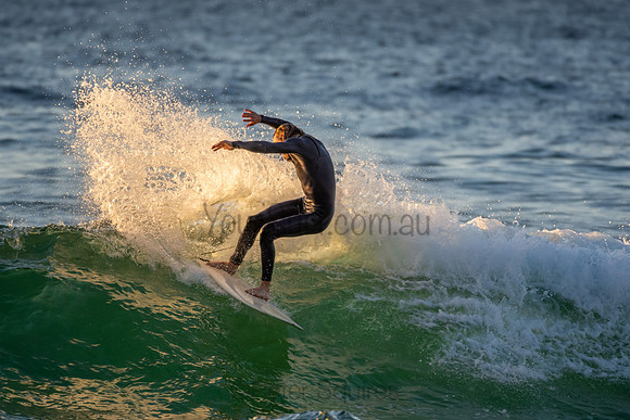 Whale Beach 2/7/20