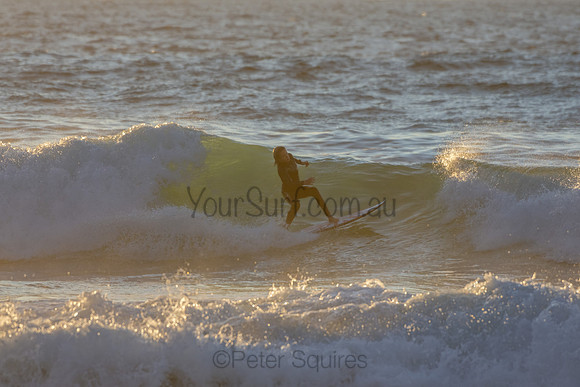 Whale Beach 2/7/20