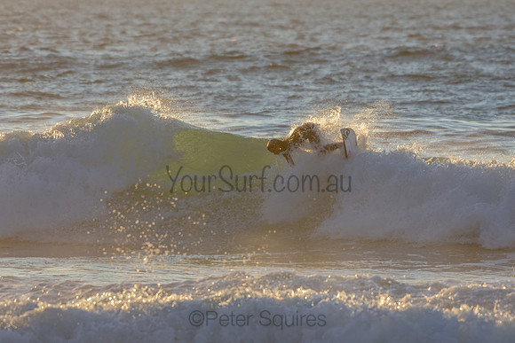 Whale Beach 2/7/20