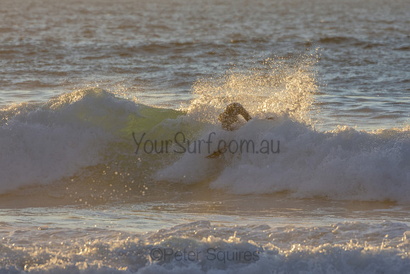 Whale Beach 2/7/20