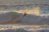 Whale Beach 2/7/20