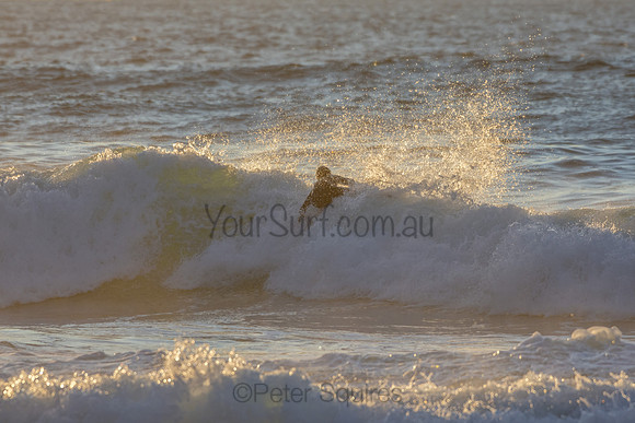 Whale Beach 2/7/20