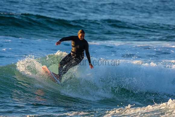 Whale Beach 2/7/20