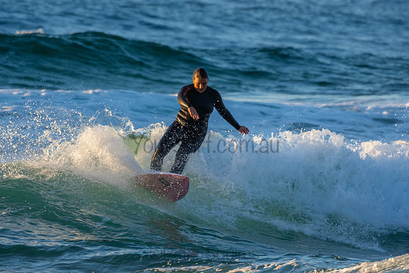 Whale Beach 2/7/20
