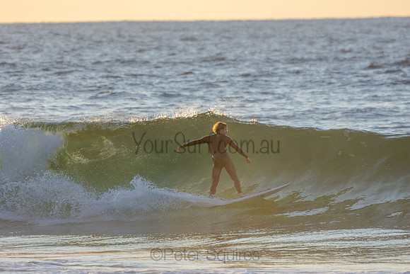 Whale Beach 2/7/20