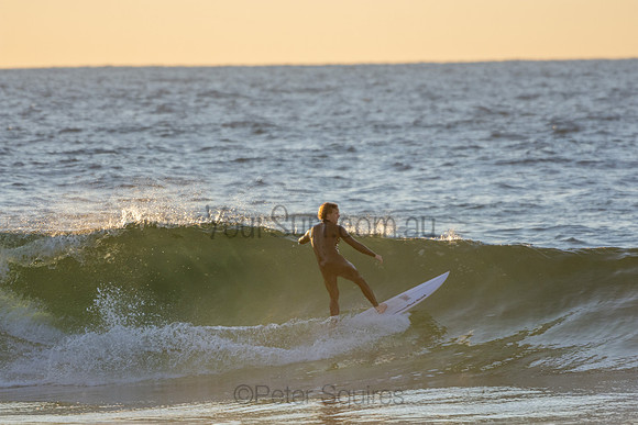 Whale Beach 2/7/20