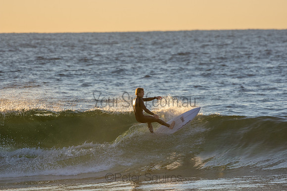 Whale Beach 2/7/20