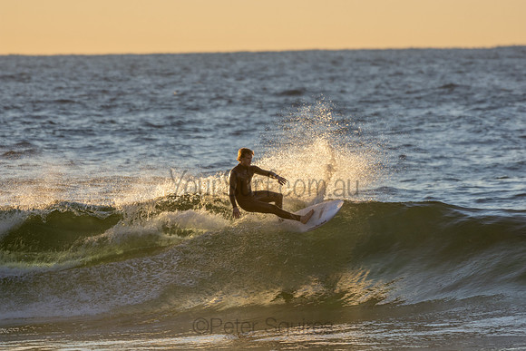 Whale Beach 2/7/20
