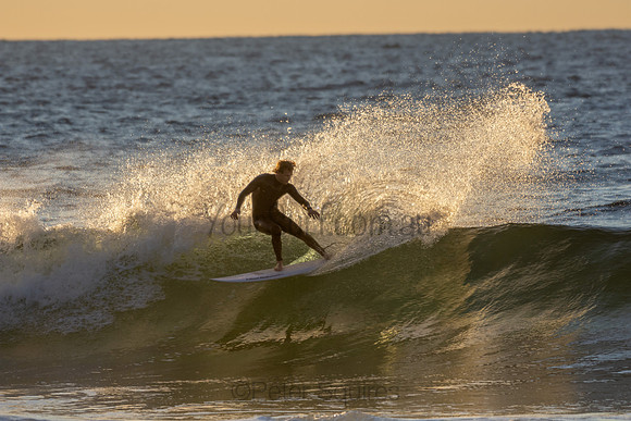 Whale Beach 2/7/20