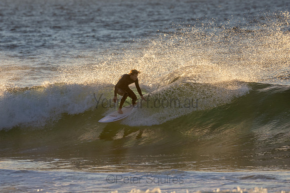 Whale Beach 2/7/20