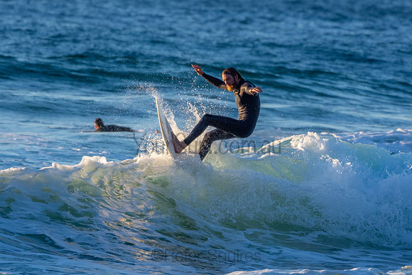 Whale Beach 2/7/20