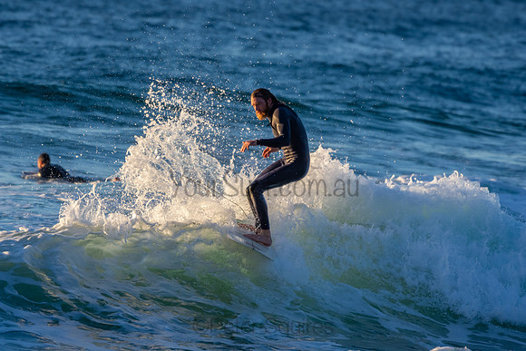 Whale Beach 2/7/20