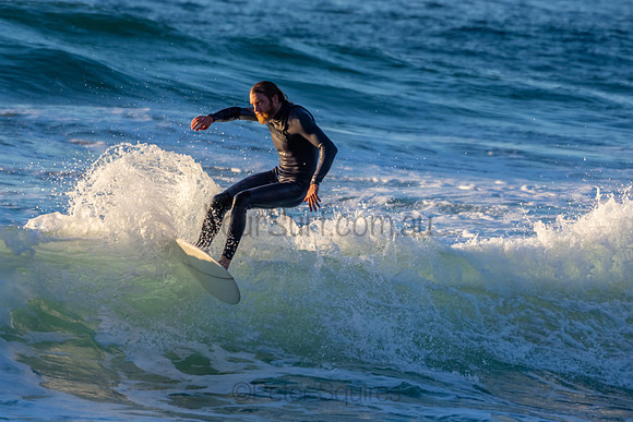 Whale Beach 2/7/20