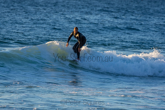 Whale Beach 2/7/20