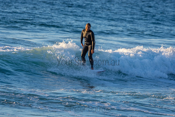 Whale Beach 2/7/20