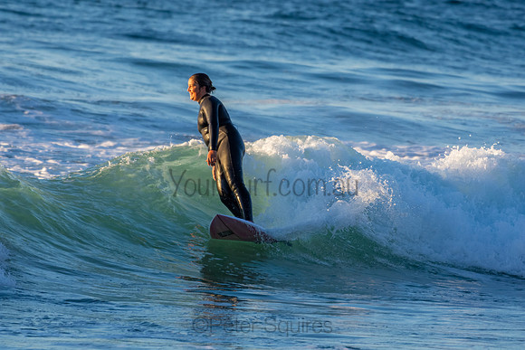 Whale Beach 2/7/20