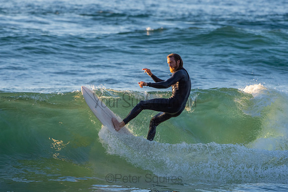 Whale Beach 2/7/20