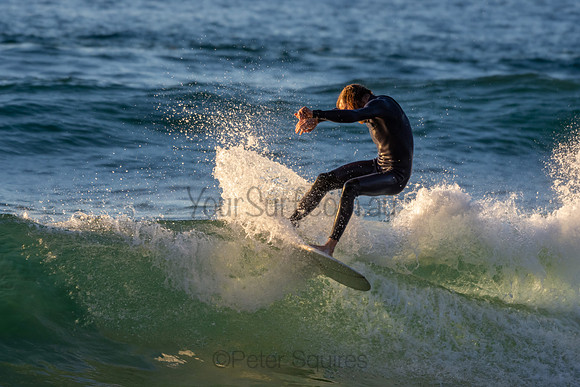 Whale Beach 2/7/20