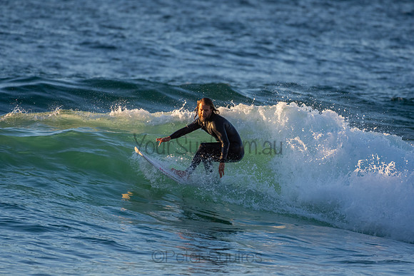 Whale Beach 2/7/20