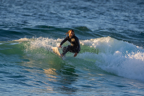 Whale Beach 2/7/20