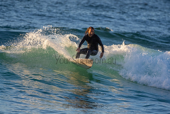 Whale Beach 2/7/20