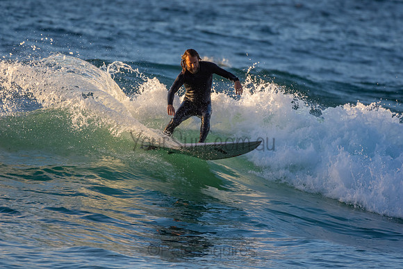 Whale Beach 2/7/20
