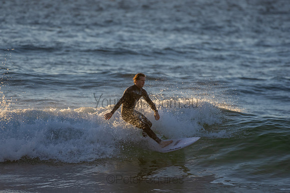 Whale Beach 2/7/20