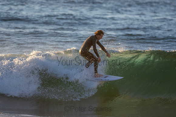Whale Beach 2/7/20