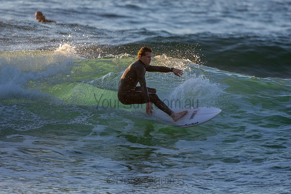 Whale Beach 2/7/20