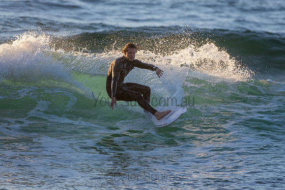 Whale Beach 2/7/20
