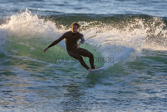 Whale Beach 2/7/20
