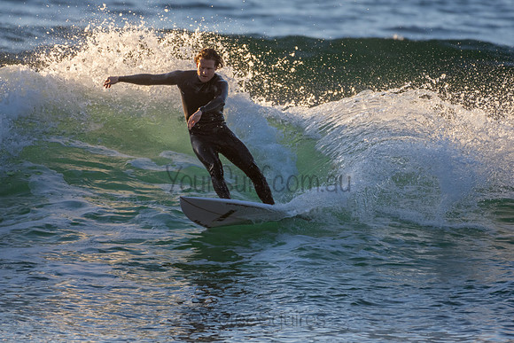 Whale Beach 2/7/20