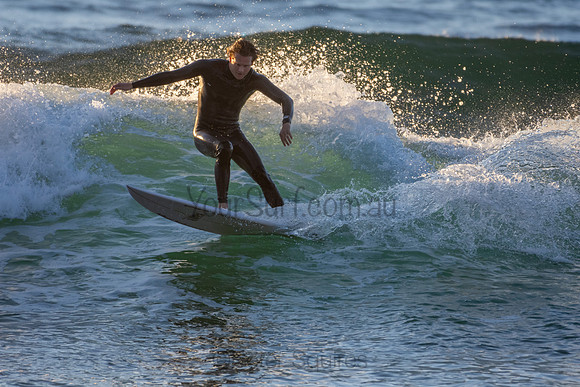 Whale Beach 2/7/20