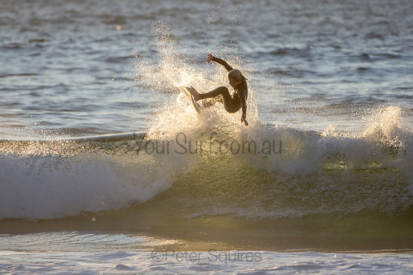 Whale Beach 2/7/20