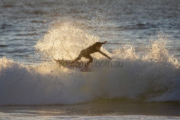 Whale Beach 2/7/20