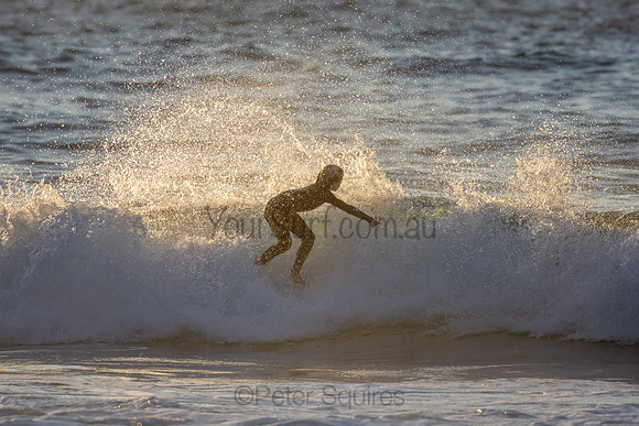 Whale Beach 2/7/20