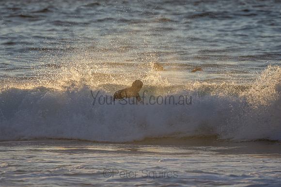 Whale Beach 2/7/20
