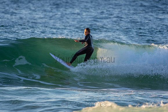Whale Beach 2/7/20