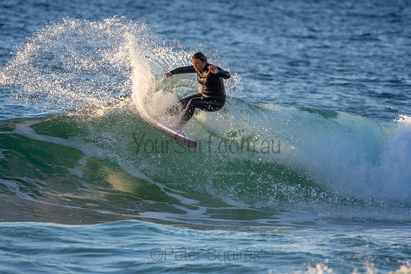 Whale Beach 2/7/20