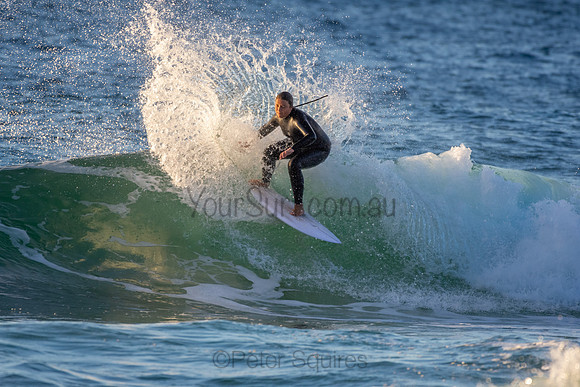 Whale Beach 2/7/20