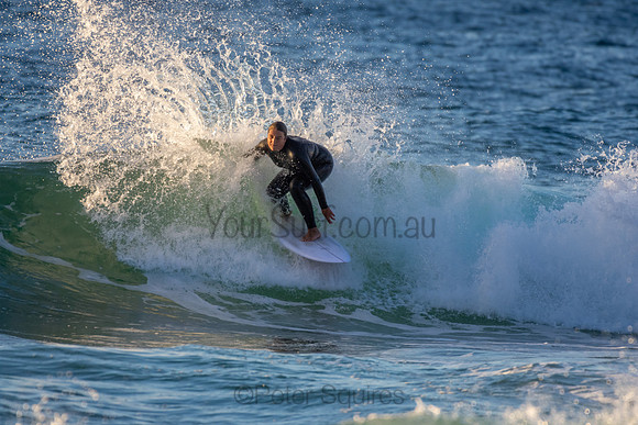 Whale Beach 2/7/20