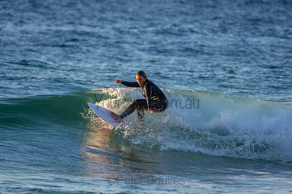 Whale Beach 2/7/20