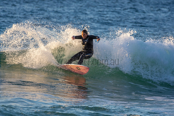 Whale Beach 2/7/20
