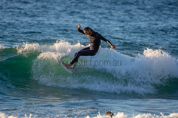 Whale Beach 2/7/20