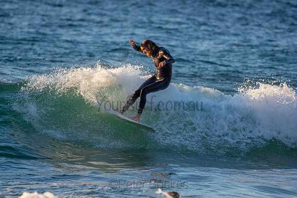 Whale Beach 2/7/20