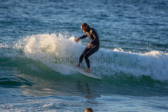 Whale Beach 2/7/20