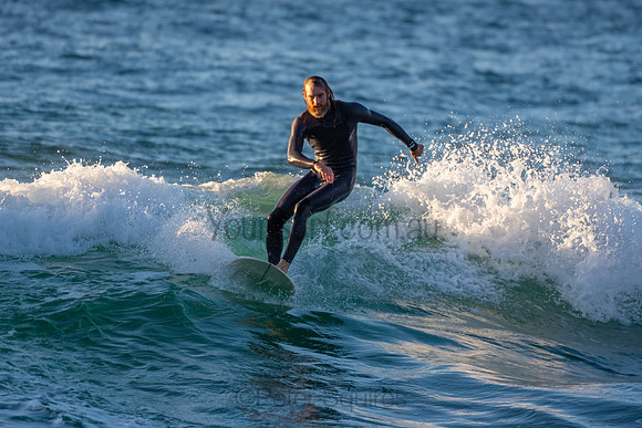 Whale Beach 2/7/20
