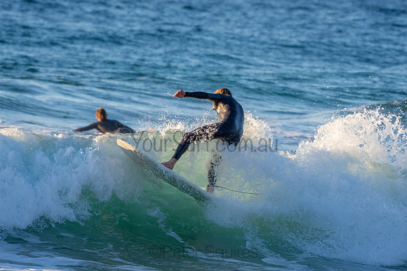 Whale Beach 2/7/20