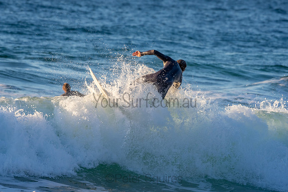 Whale Beach 2/7/20